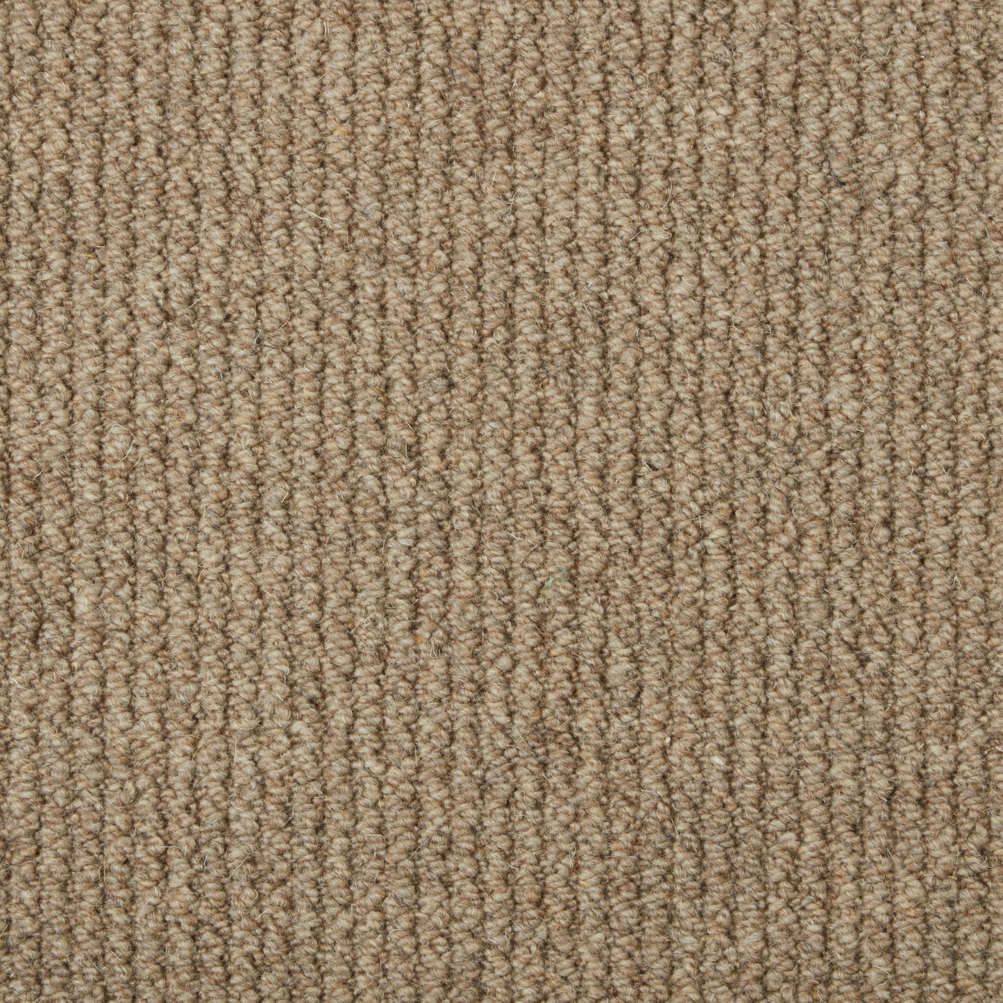 Malabar Two Fold