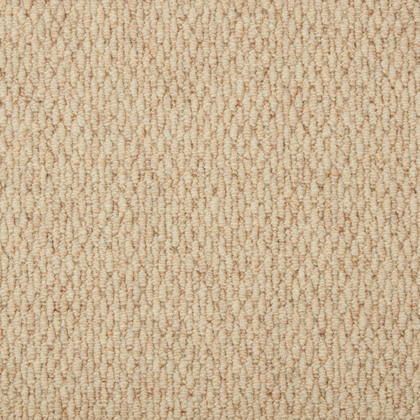 Malabar Two Fold