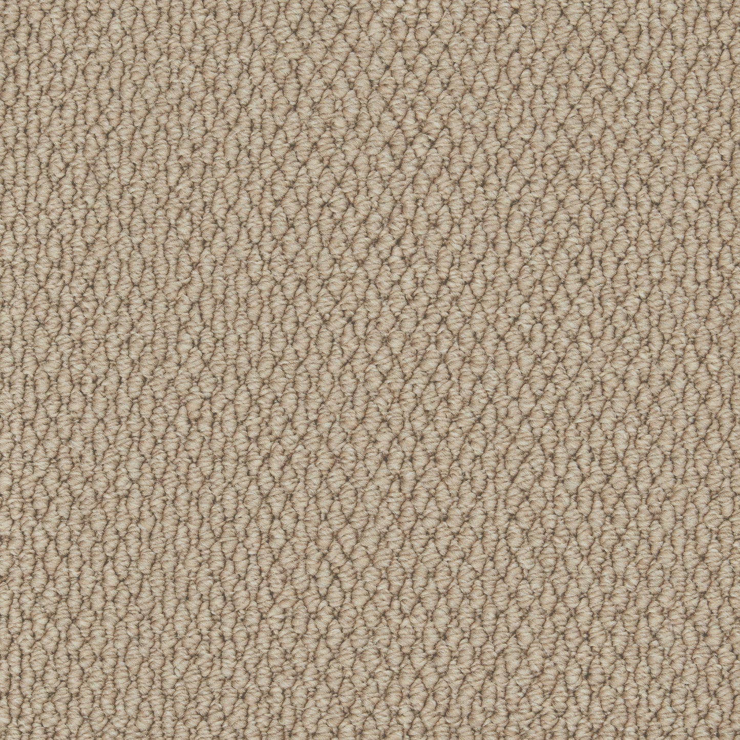 Primo Textures