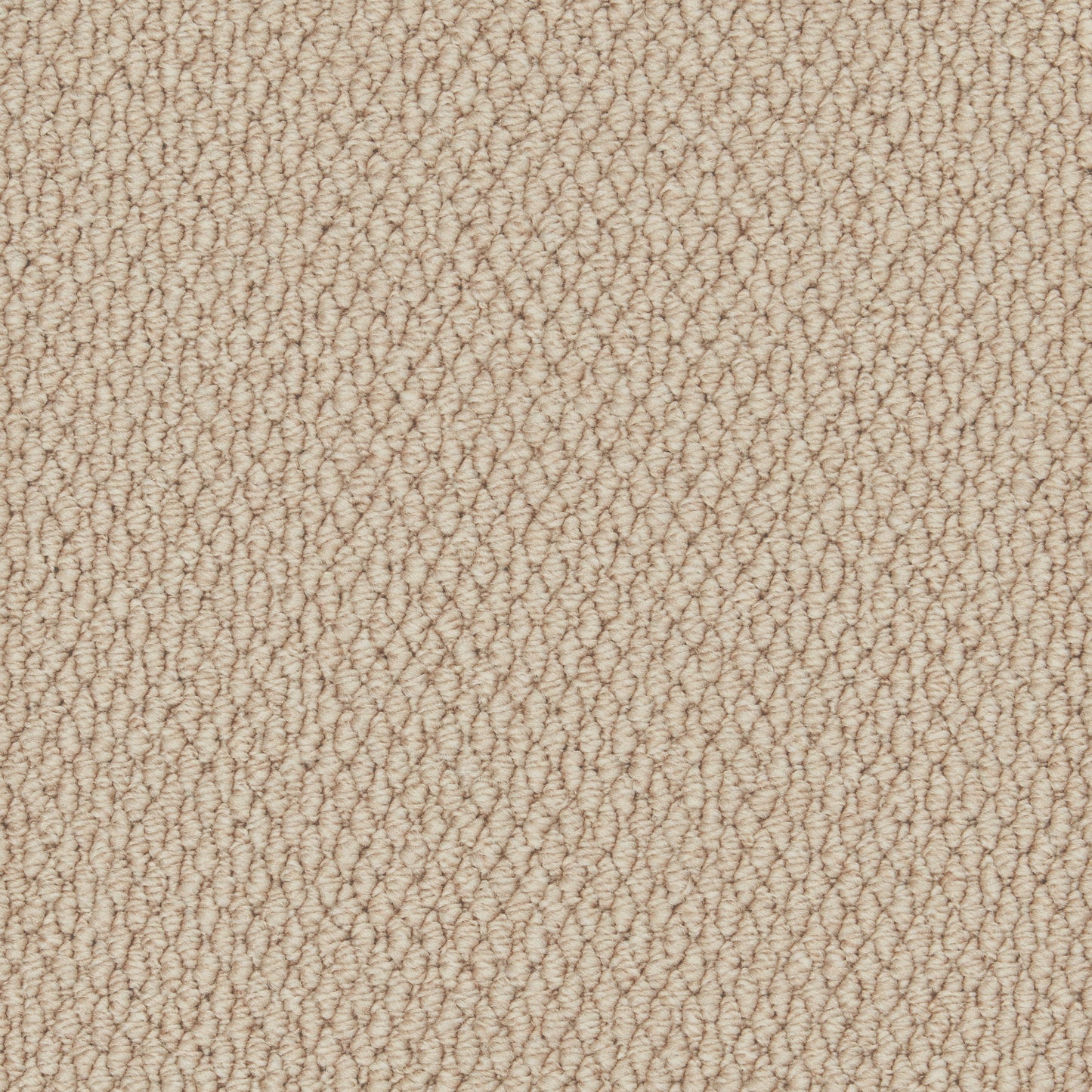 Primo Textures