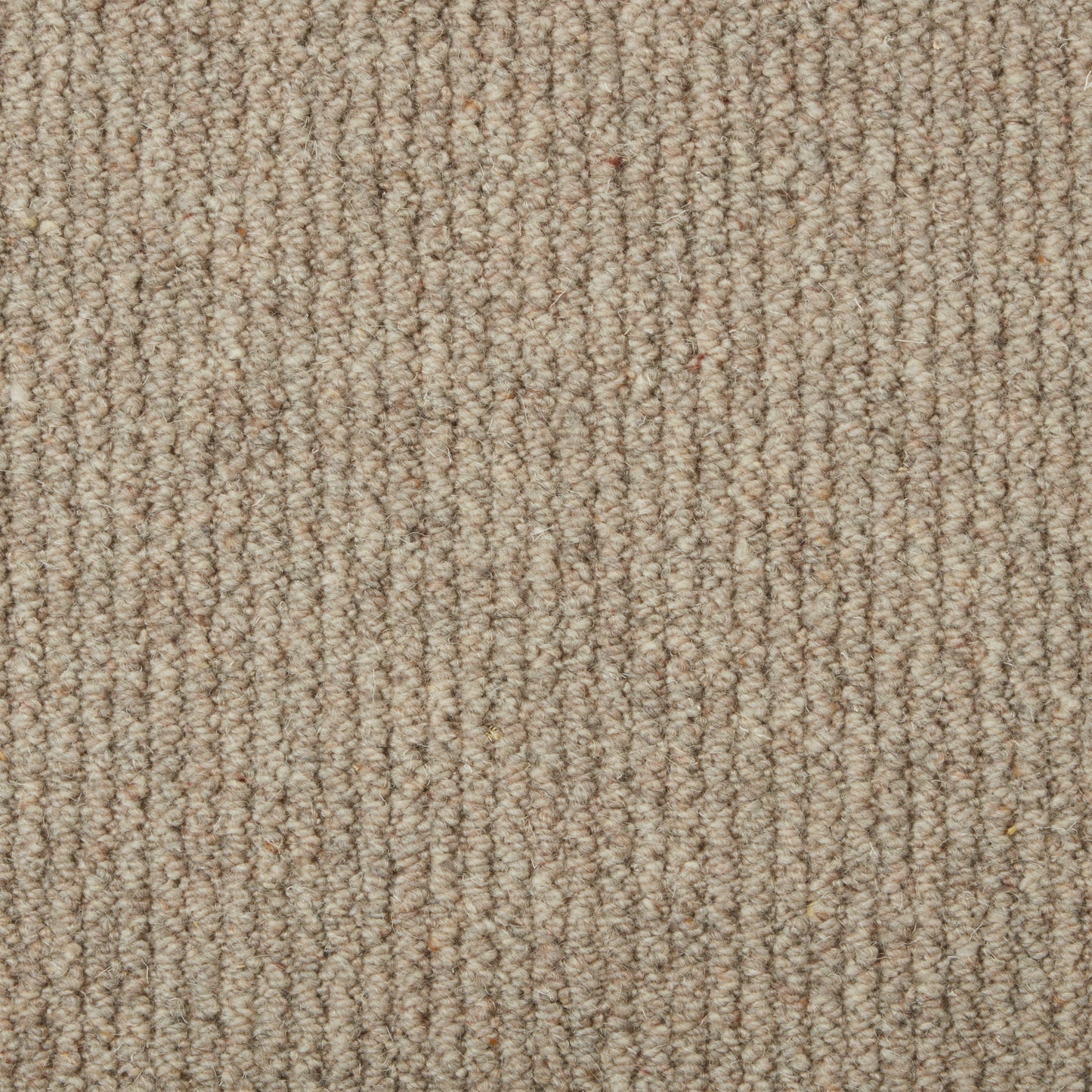 Malabar Two Fold