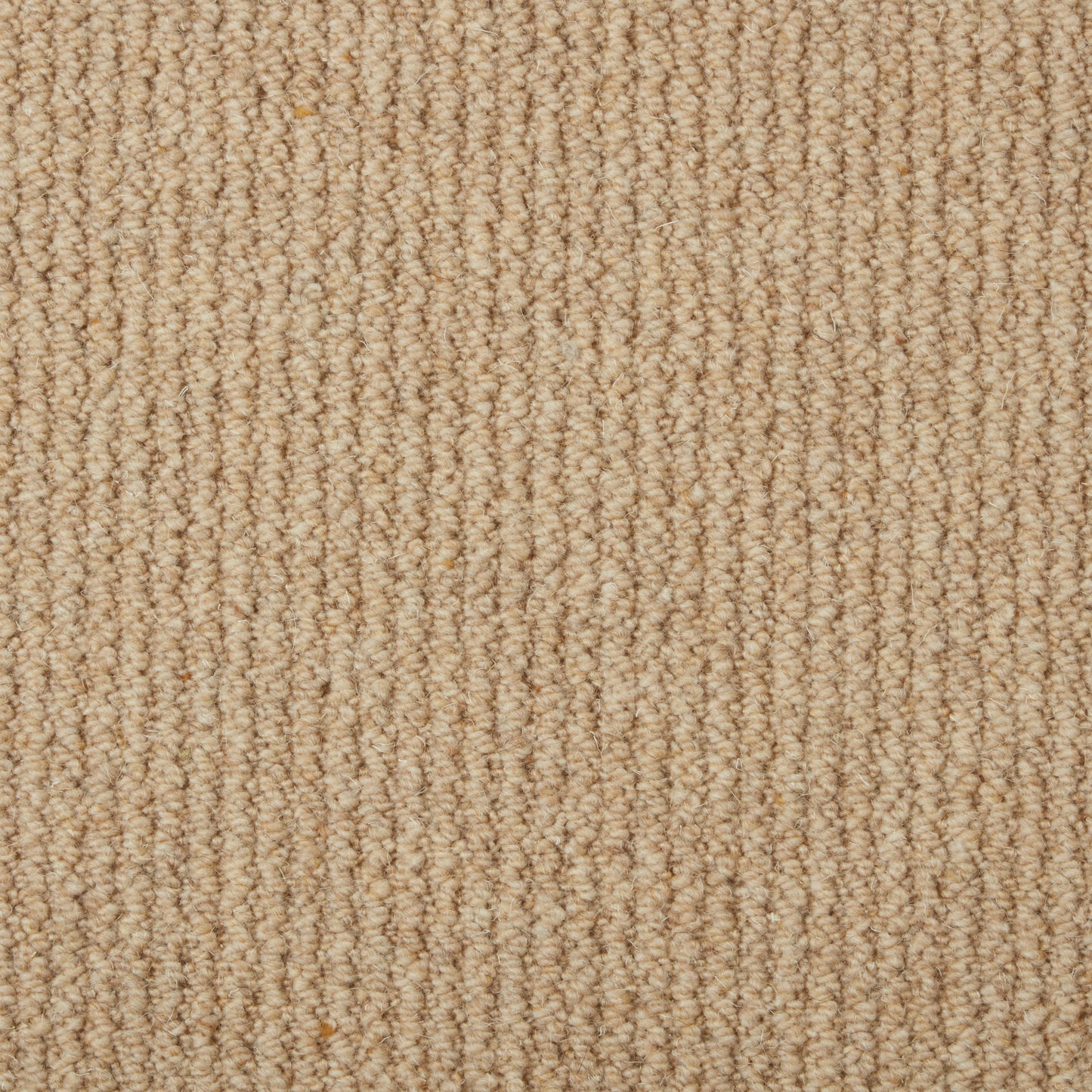 Malabar Two Fold