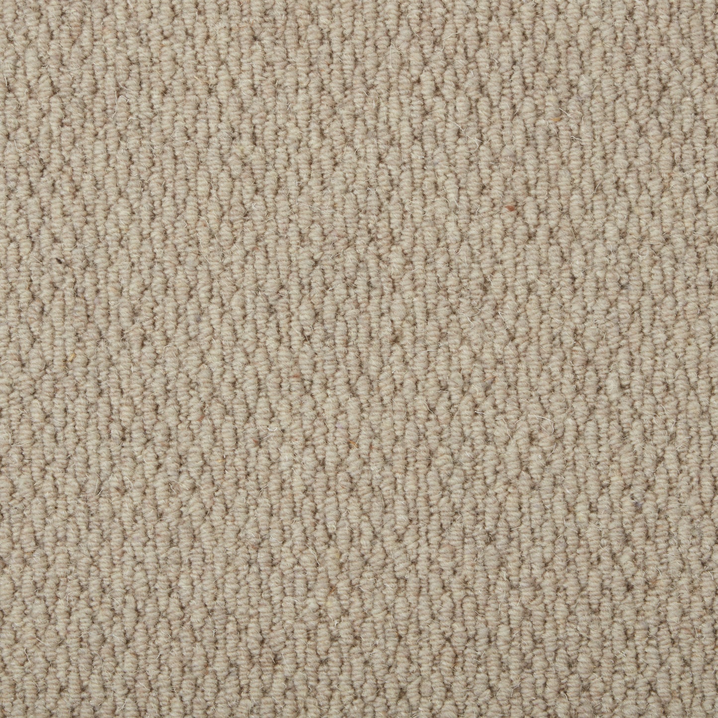 Malabar Two Fold