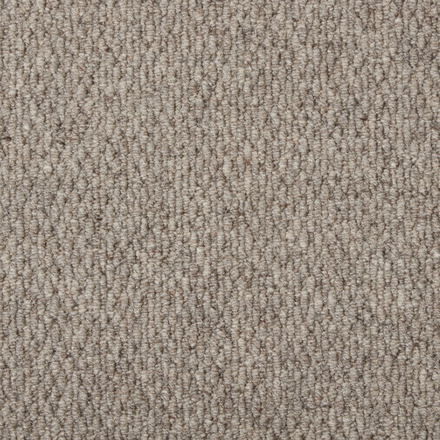 Malabar Two Fold
