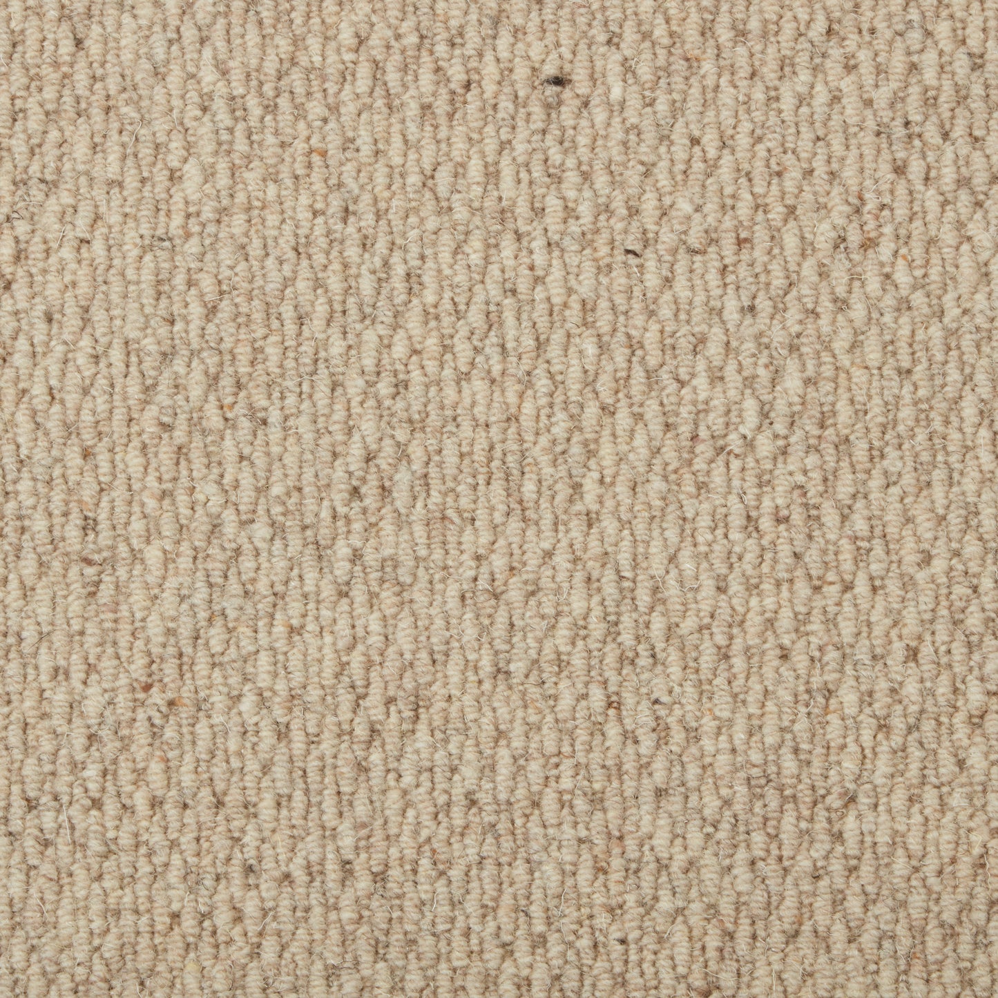 Malabar Two Fold