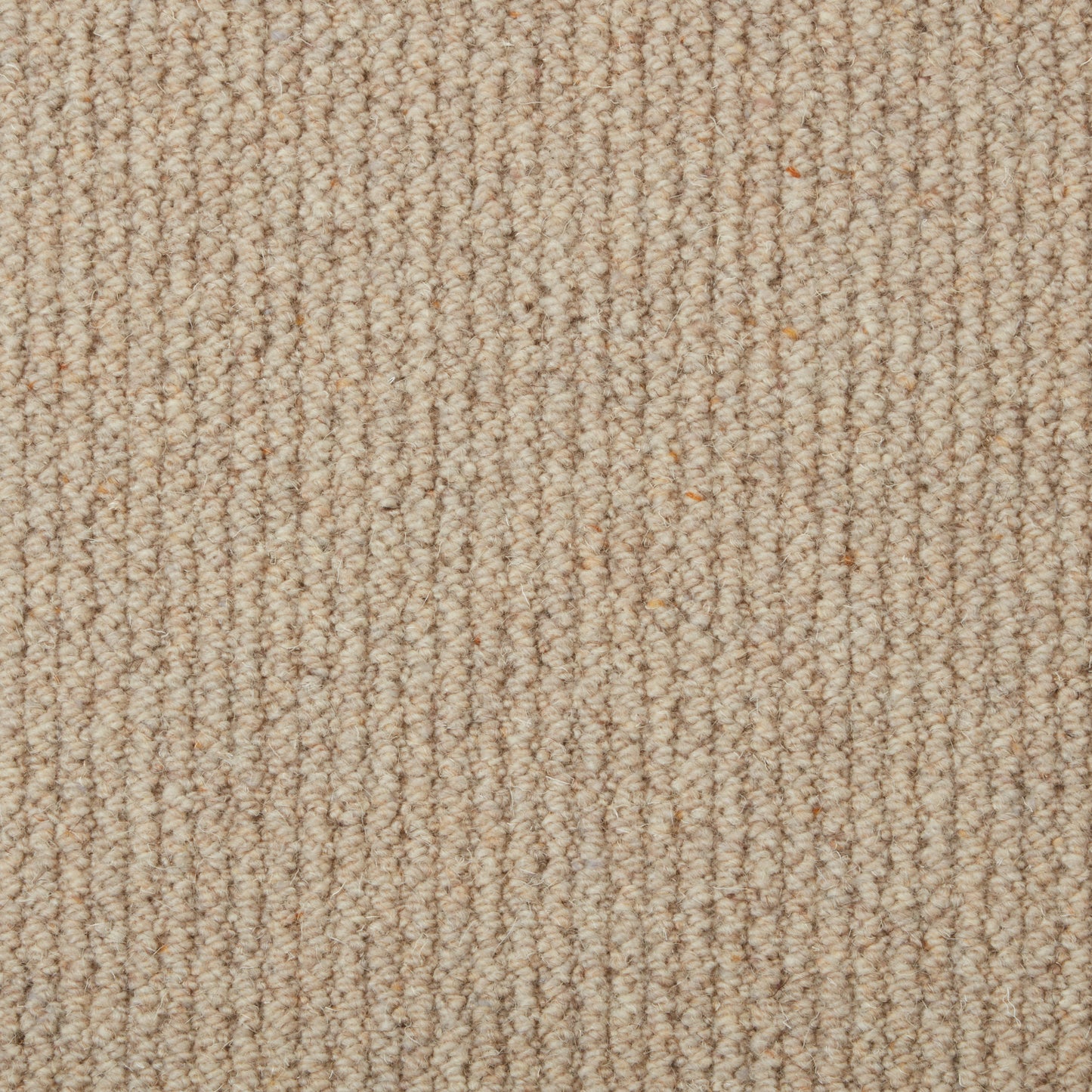 Malabar Two Fold