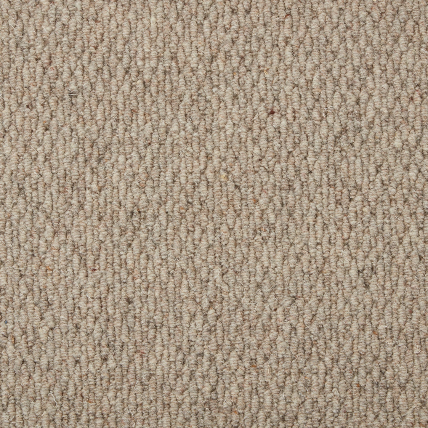 Malabar Two Fold