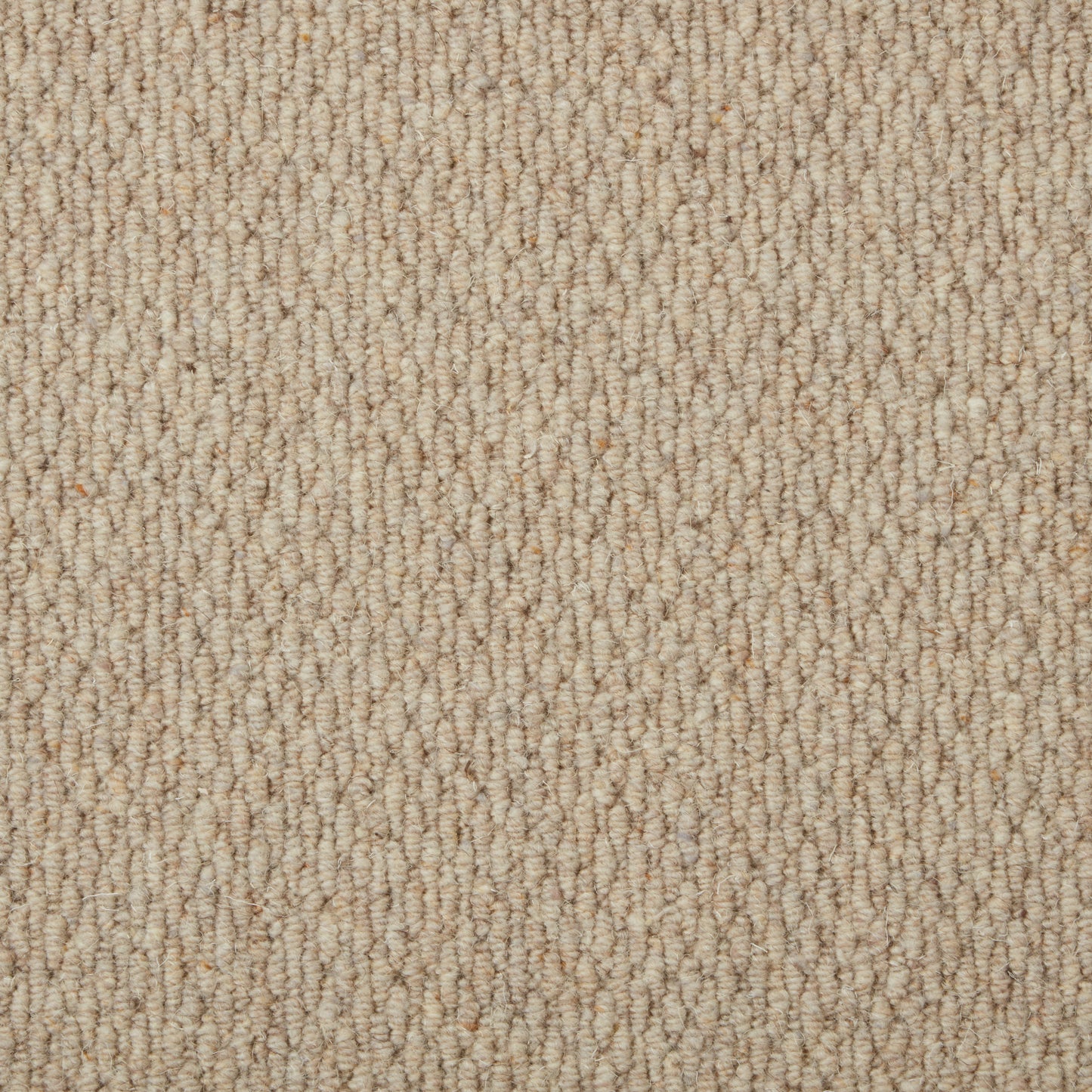 Malabar Two Fold