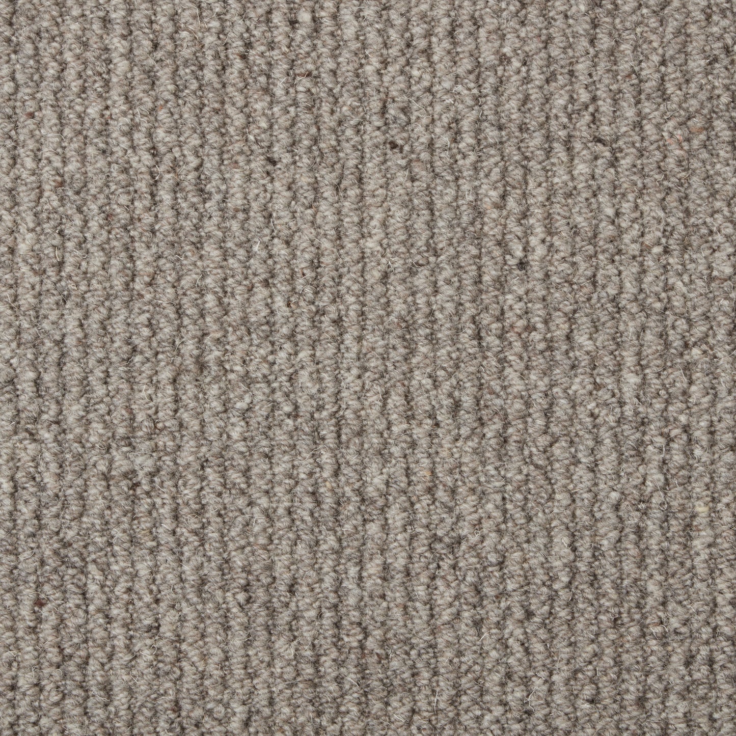 Malabar Two Fold