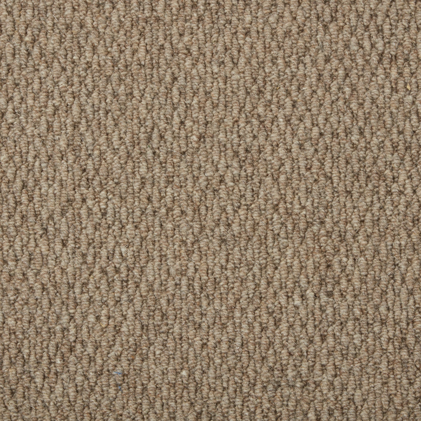 Malabar Two Fold