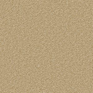 Apollo Plus Caramel