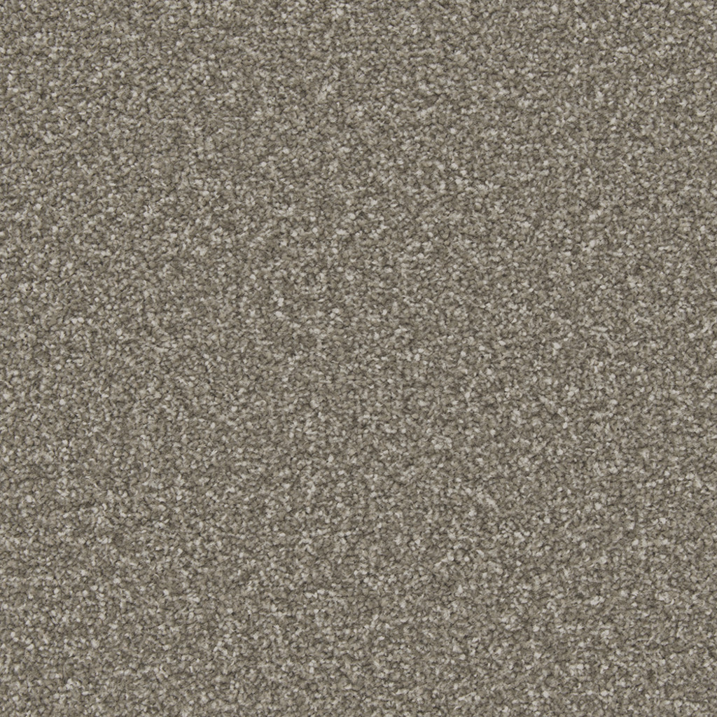 Apollo Plus Cinder Grey