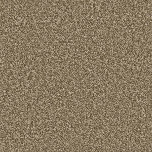 Apollo Plus Cork Oak