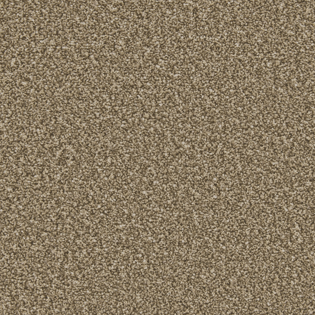Apollo Plus Cork Oak